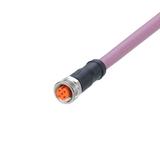 EVC958
