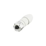 EVF565